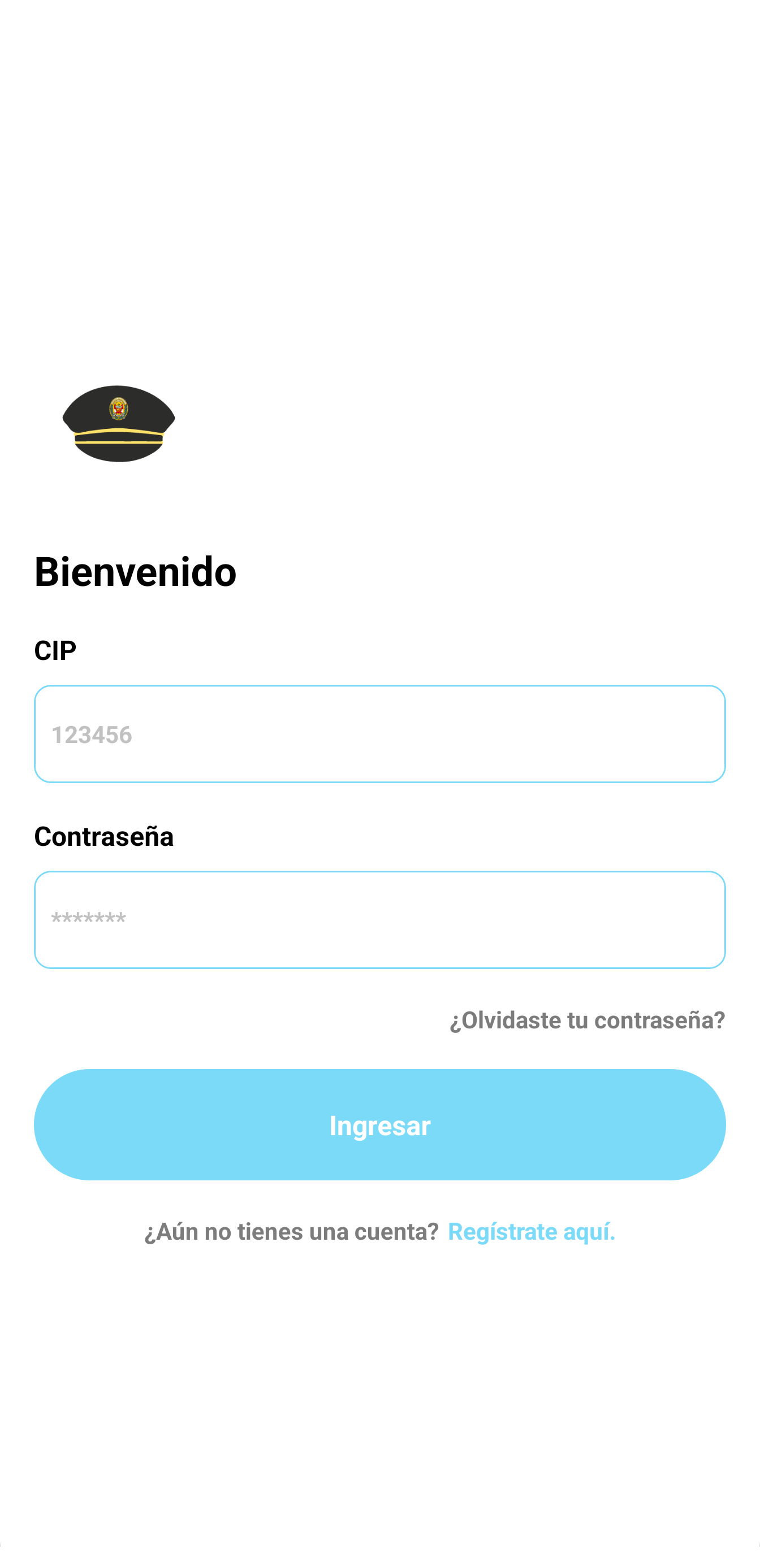 Captura de pantalla de la aplicación